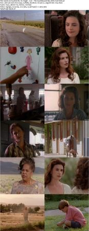 Touched By An Angel S01 DVDRip XVID MP3-NOGRP