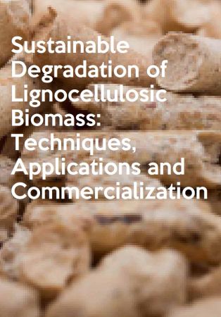 Sustainable Degradation of Lignocellulosic Biomass: Techniques, Applications and Commercialization