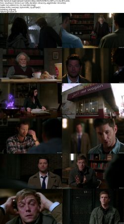 Supernatural S15 1080p AMZN WEBRip DDP5.1 x264-NTG