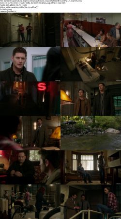 Supernatural S14 720p AMZN WEBRip DDP5.1 x264-NTG