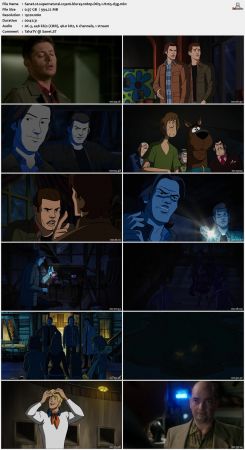 Supernatural S13 BluRay 10Bit 1080p DD5.1 H265-d3g
