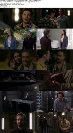 Supernatural S15 1080p AMZN WEBRip DDP5.1 x264-NTG