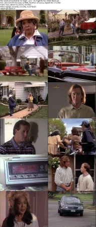 Touched By An Angel S03 DVDRip XVID MP3-NOGRP