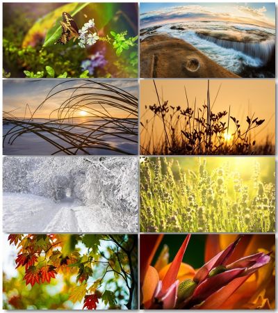 Nature Pictures (Pack 1)