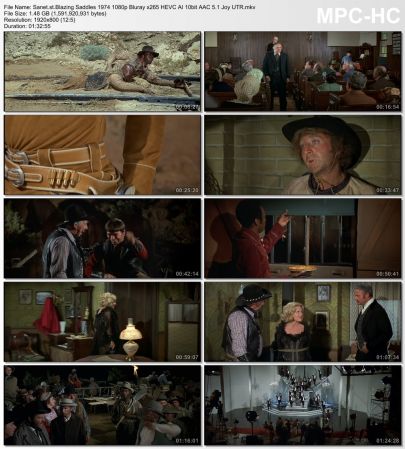 Blazing Saddles 1974 1080p Bluray x265 HEVC AI 10bit AAC 5.1 Joy UTR