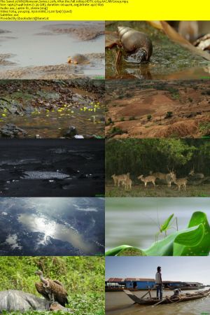 Nat.Geo.Wild-BBC - Wild Monsoon: Series 1 (2020) 1080p HDTV x264 AAC MVGroup