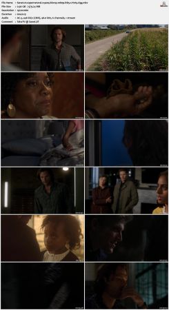 Supernatural S13 BluRay 10Bit 1080p DD5.1 H265-d3g