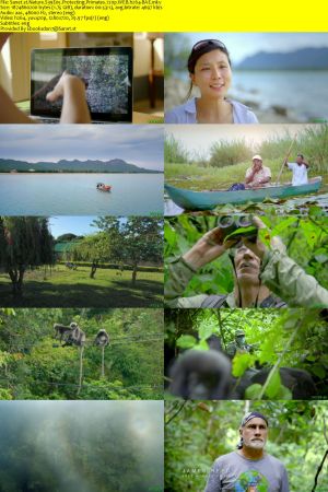 Nature S39E05 Protecting Primates 720p WEB h264-BAE
