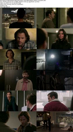 Supernatural S14 720p AMZN WEBRip DDP5.1 x264-NTG
