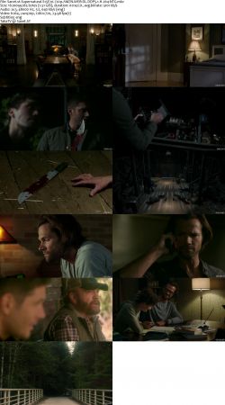 Supernatural S15 720p AMZN WEBRip DDP5.1 x264-NTG