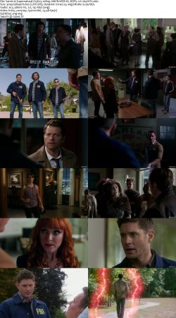 Supernatural S15 1080p AMZN WEBRip DDP5.1 x264-NTG