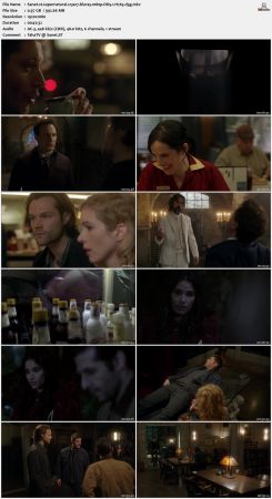 Supernatural S13 BluRay 10Bit 1080p DD5.1 H265-d3g