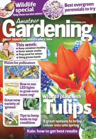 Amateur Gardening - 07 November 2020 (True PDF)