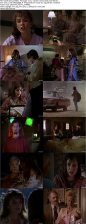 Touched By An Angel S01 DVDRip XVID MP3-NOGRP