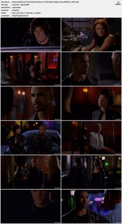 Birds Of Prey S01 1080p H265 WEB-DL 10bit-MXP