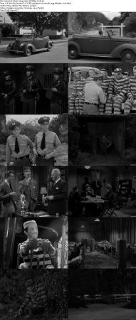Chain Gang 1950 DVDRip XviD-NOGRP