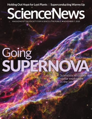 DevCourseWeb Science News 7 November 2020