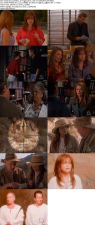 Touched By An Angel S08 DVDRip XVID MP3-NOGRP