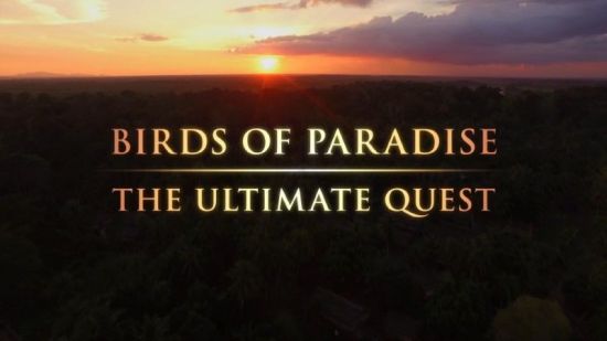 BBC - Birds of Paradise: The Ultimate Quest (2017) 1080p HDTV x265 AAC MVGroup