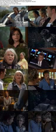 Touched By An Angel S09 DVDRip XVID MP3-NOGRP