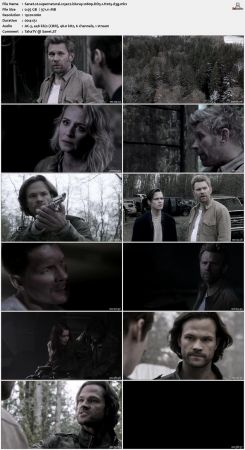 Supernatural S13 BluRay 10Bit 1080p DD5.1 H265-d3g