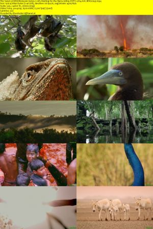 Nat.Geo.Wild-BBC - Wild Monsoon: Series 1 (2020) 1080p HDTV x264 AAC MVGroup