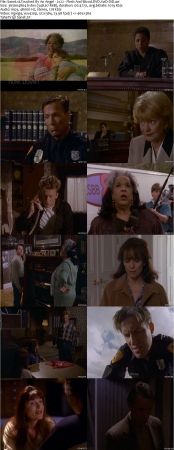 Touched By An Angel S02 DVDRip XVID MP3-NOGRP