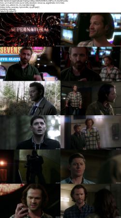 Supernatural S15 1080p AMZN WEBRip DDP5.1 x264-NTG