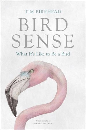 Bird Sense: What It's Like to Be a Bird (AZW3)