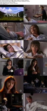 Touched By An Angel S05 DVDRip XVID MP3-NOGRP