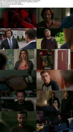 Supernatural S15 720p AMZN WEBRip DDP5.1 x264-NTG