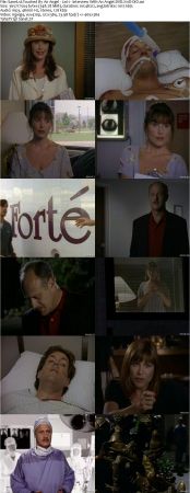 Touched By An Angel S02 DVDRip XVID MP3-NOGRP