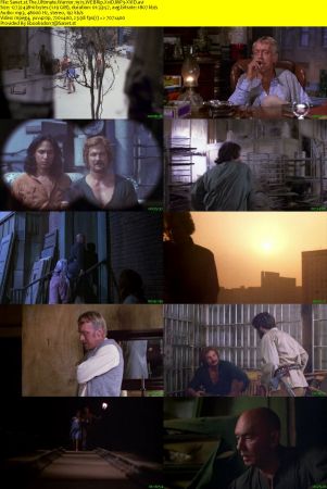 The Ultimate Warrior 1975 WEBRip XviD MP3-XVID