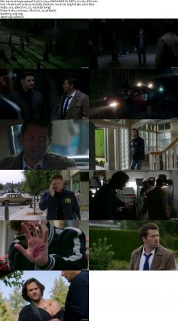 Supernatural S15 720p AMZN WEBRip DDP5.1 x264-NTG