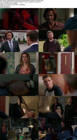 Supernatural S15 1080p AMZN WEBRip DDP5.1 x264-NTG