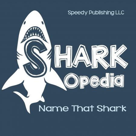 Shark Opedia Name That Shark