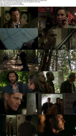 Supernatural S14 720p AMZN WEBRip DDP5.1 x264-NTG