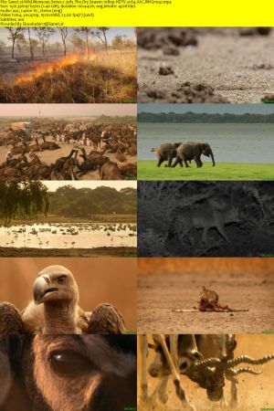 Nat.Geo.Wild-BBC - Wild Monsoon: Series 1 (2020) 1080p HDTV x264 AAC MVGroup