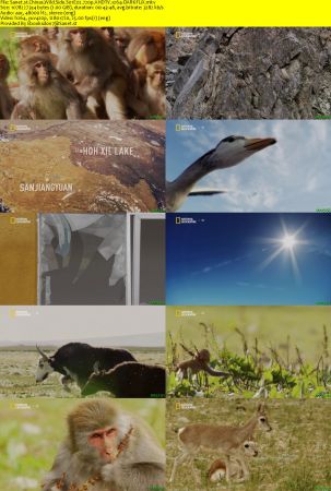 Chinas Wild Side S01 720p HDTV x264-CBFM