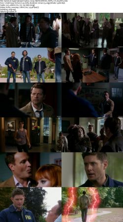 Supernatural S15 720p AMZN WEBRip DDP5.1 x264-NTG