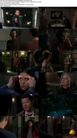 Supernatural S15 WEBRip x264-ION10