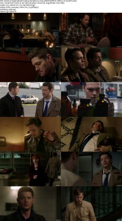 Supernatural S14 720p AMZN WEBRip DDP5.1 x264-NTG