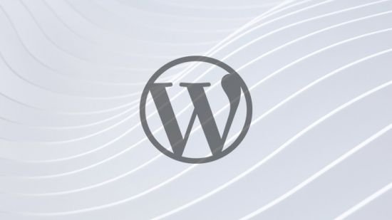 Wordpress in a Weekend   Build Your Own Custom Website
