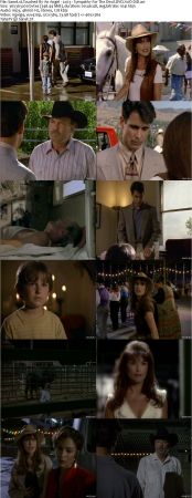 Touched By An Angel S02 DVDRip XVID MP3-NOGRP