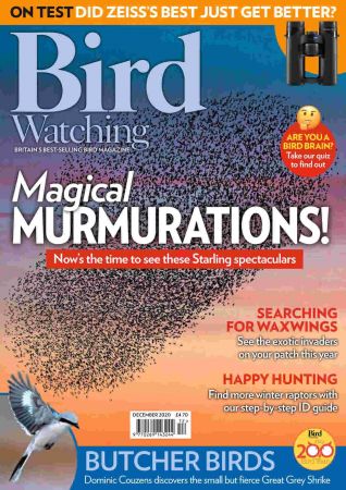 Bird Watching UK   December 2020