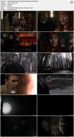 Supernatural S13 BluRay 10Bit 1080p DD5.1 H265-d3g