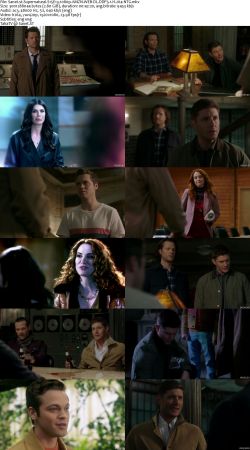 Supernatural S15 1080p AMZN WEBRip DDP5.1 x264-NTG