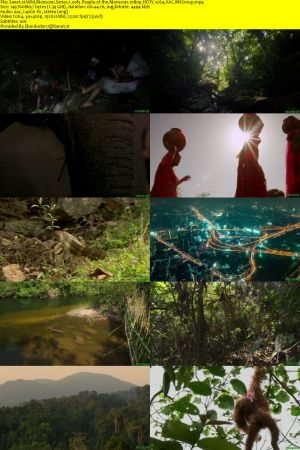 Nat.Geo.Wild-BBC - Wild Monsoon: Series 1 (2020) 1080p HDTV x264 AAC MVGroup