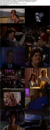 Touched By An Angel S02 DVDRip XVID MP3-NOGRP
