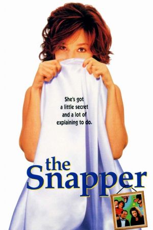 The Snapper 1993 1080p WEB-DL HEVC x265 BONE